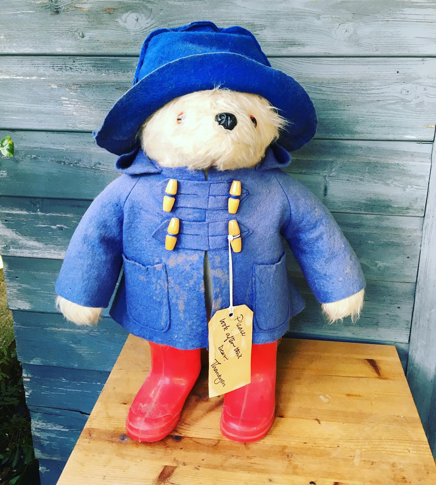 1970s Gabrielle design Paddington Bear in very rare green coat and 
