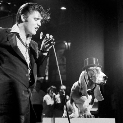 HOUND DOG Early Days 20th Anniversary HOUND DOG Early Days 20th