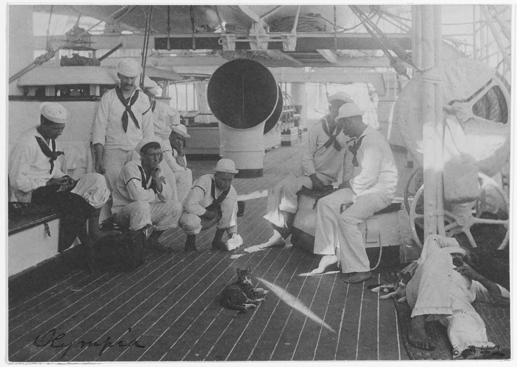 In honor of #nationalcatday,... - Independence Seaport Museum | Facebook