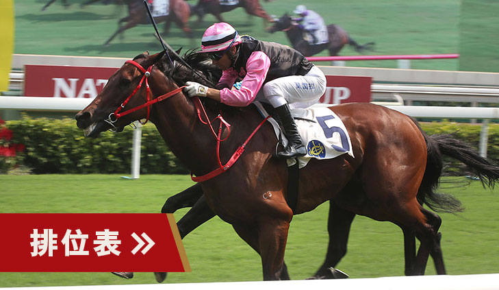 HKJC Racing - 【國慶盃】10月1日國慶盃排位表公佈！上季亞軍及季軍「旌暉」和「有理共想」捲土重來再度挑戰... | Facebook