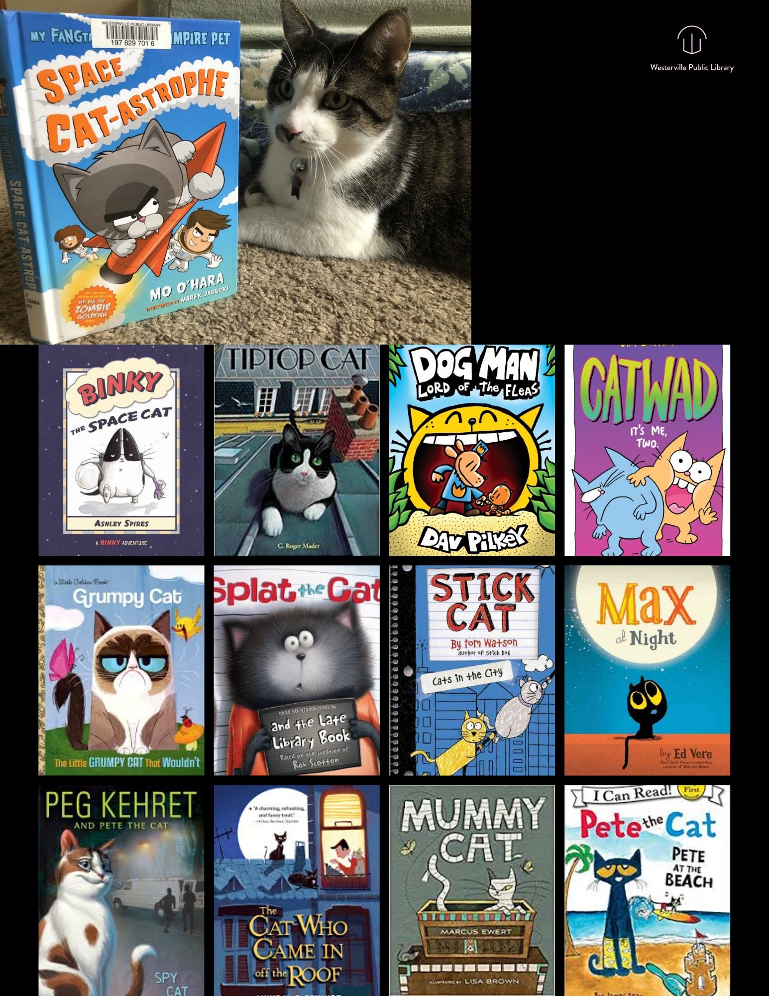 Title: Follow That Cat! Author: Liza Charlesworth Publisher