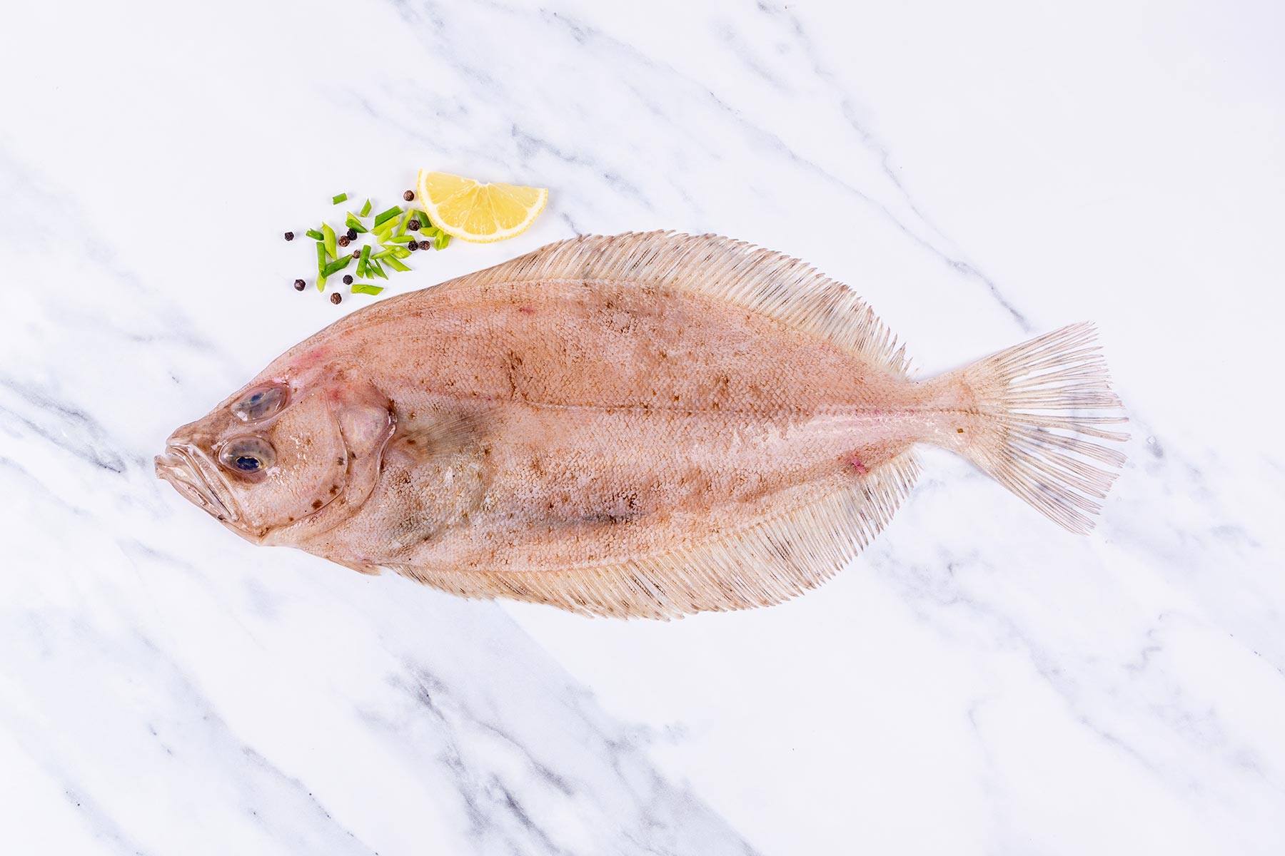 Today we're celebrating megrim or... - The Cornish Fishmonger | Facebook