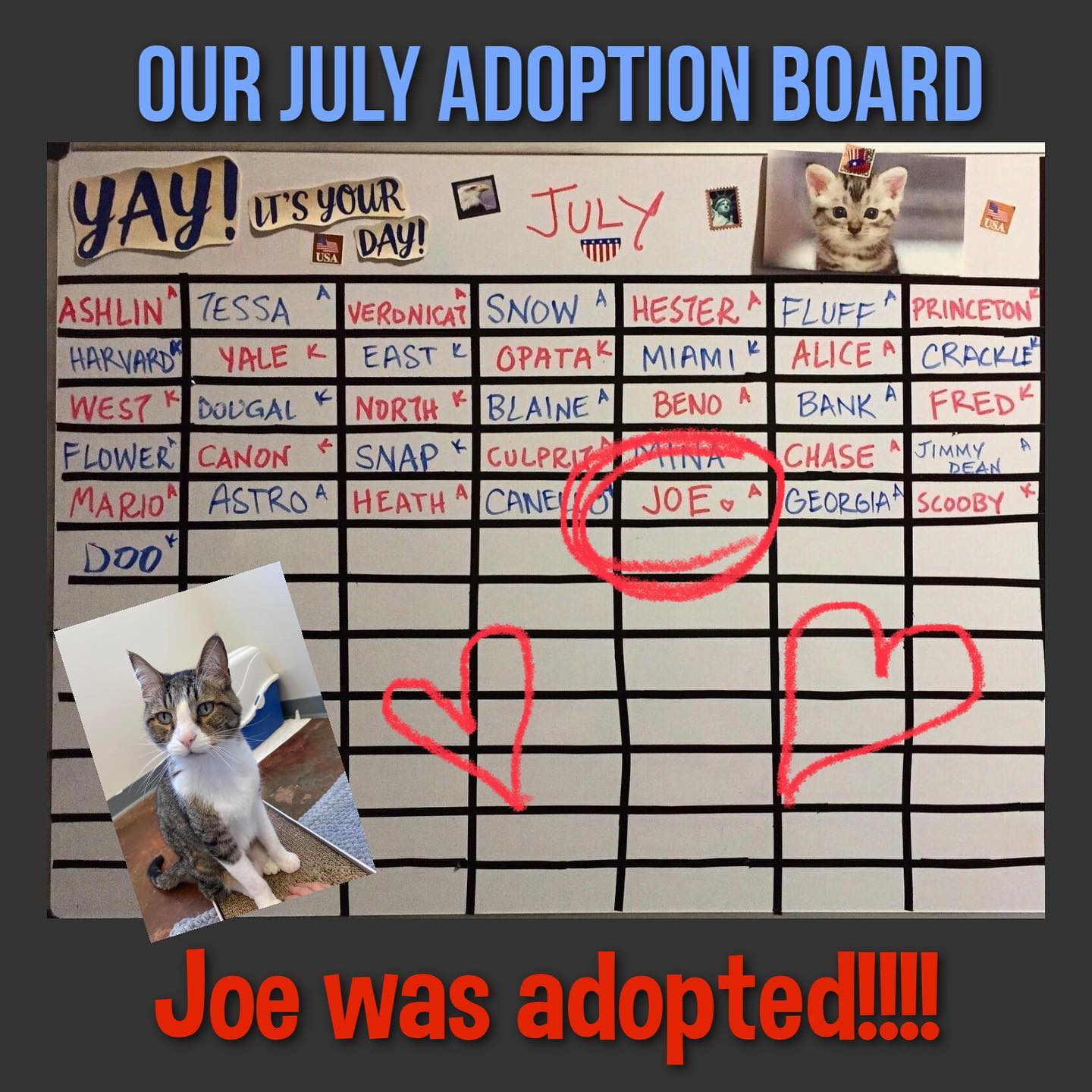 We... - MaxFund No-Kill Animal Shelter and Adoption Center | Facebook
