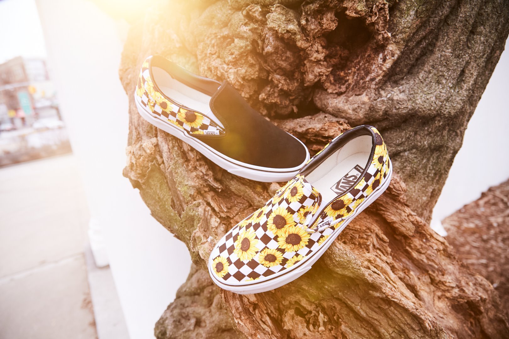 VANS AUTHENTIC HC 