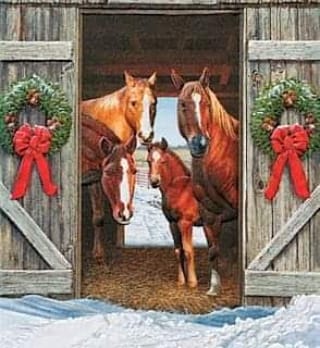 The McKee Ranch Foundation - Christmas at the McKee Ranch. Pony & Horse ...