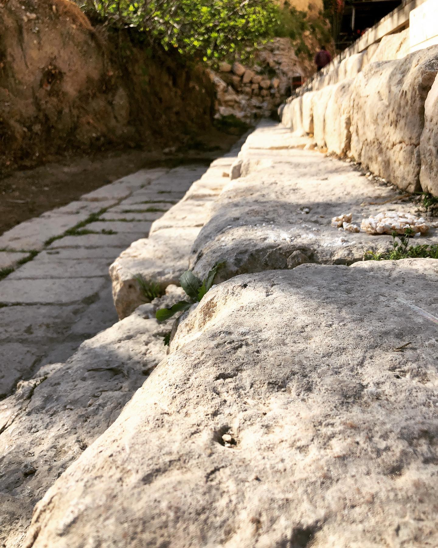 What if you could walk the... - Bear Valley Bible Institute