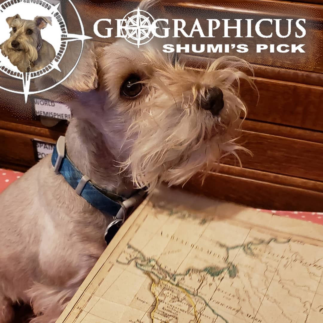 Shumi's pick is this rare... - Geographicus Rare Antique Maps | Facebook