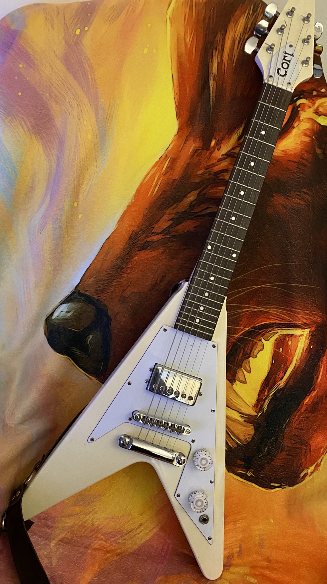 My last aquisition - Cort KX1Q Not a fancy expensive guitar, but