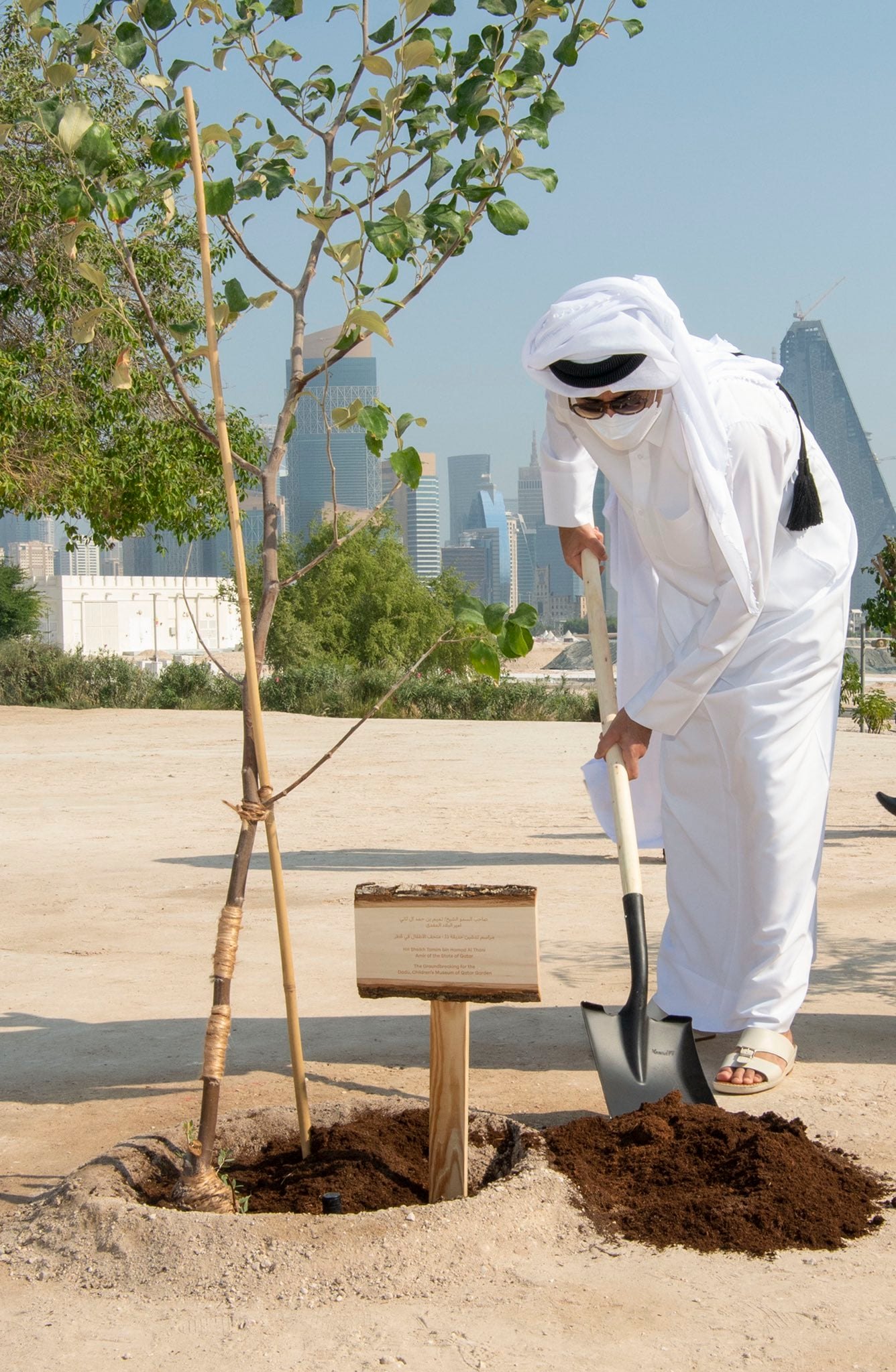 Amir plants Sidra tree to mark... - The Peninsula Qatar