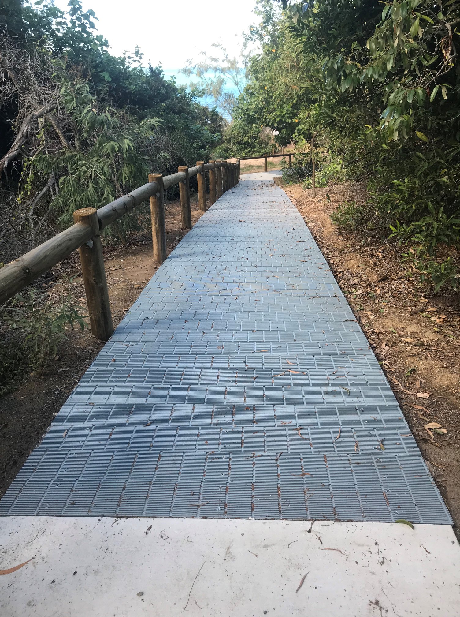 #funfactfriday Can you spot the... - Mackay Regional Council