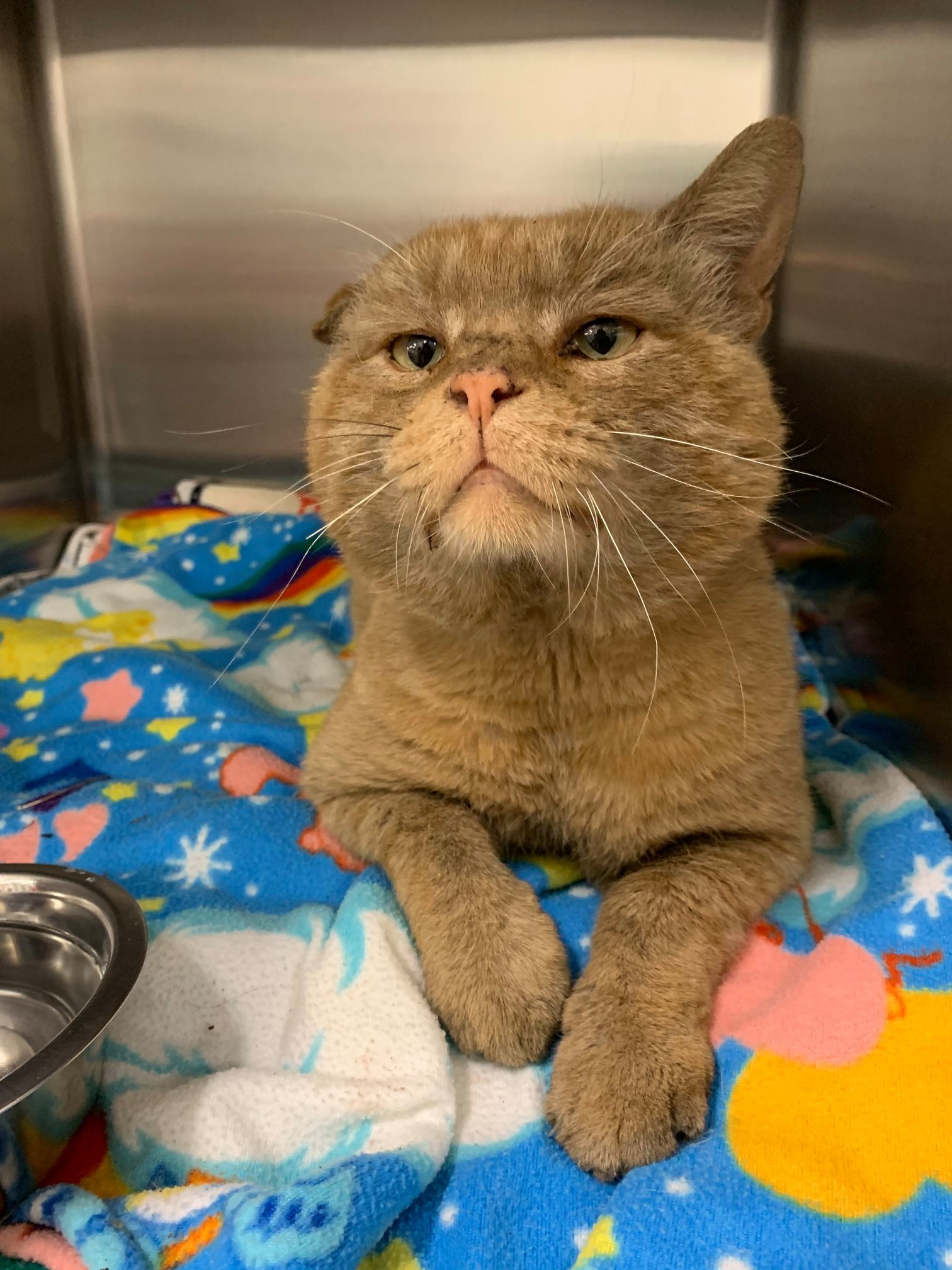 Very... - Oregon Humane Society Technical Animal Rescue Team | Facebook