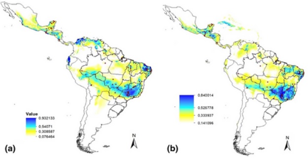 Hymenoptera - Fig. 1. Potential distribution areas of the species ...