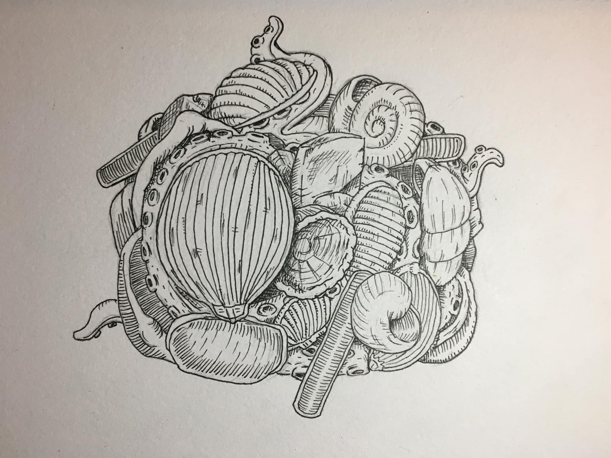Wobblylobster Studio - #inktober Day 14 ‘Armour’ #inktober2020 #armor # ...