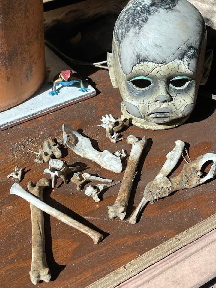 【中古】 spunky doll/ She buried my head Tiny doll head found buried in yard