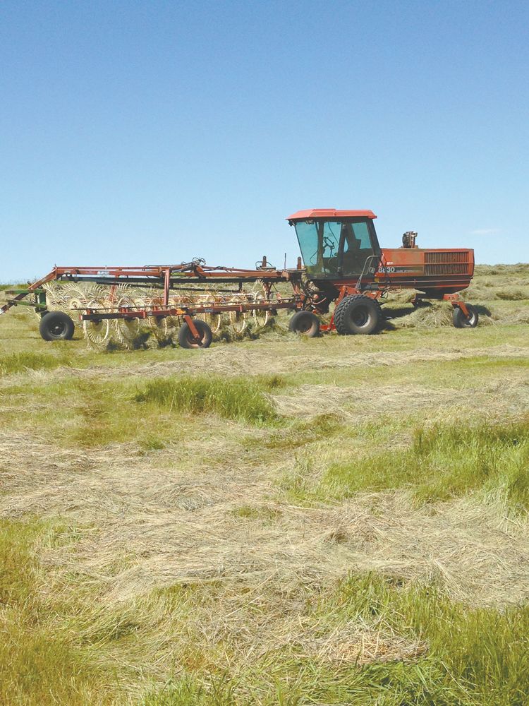 Self-Propelled Rake Dick Schirado... - FARM SHOW Magazine