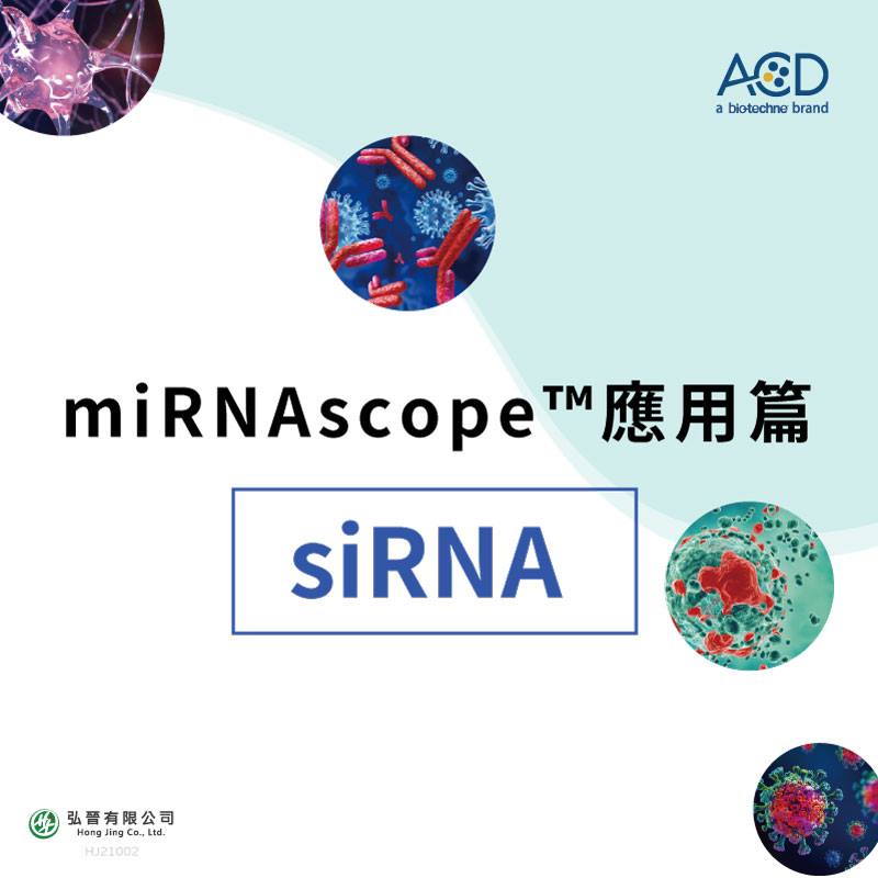 弘晉有限公司 - 【miRNAscope™應用篇-siRNA】 RNAscope®為偵測mRNA單細胞單分子的...