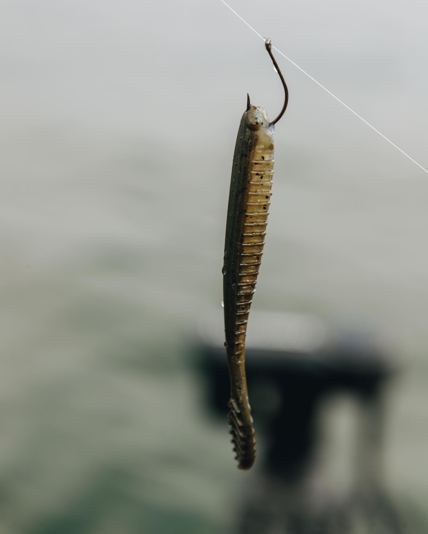 Looking for a drop shot to mimic shad, leeches, gobies and minnows