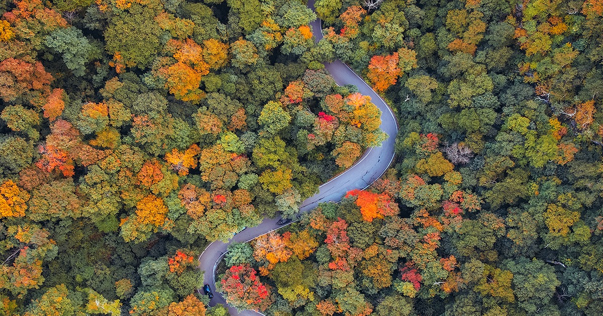 This foliage weekend will be one... - UVM Alumni Association | Facebook