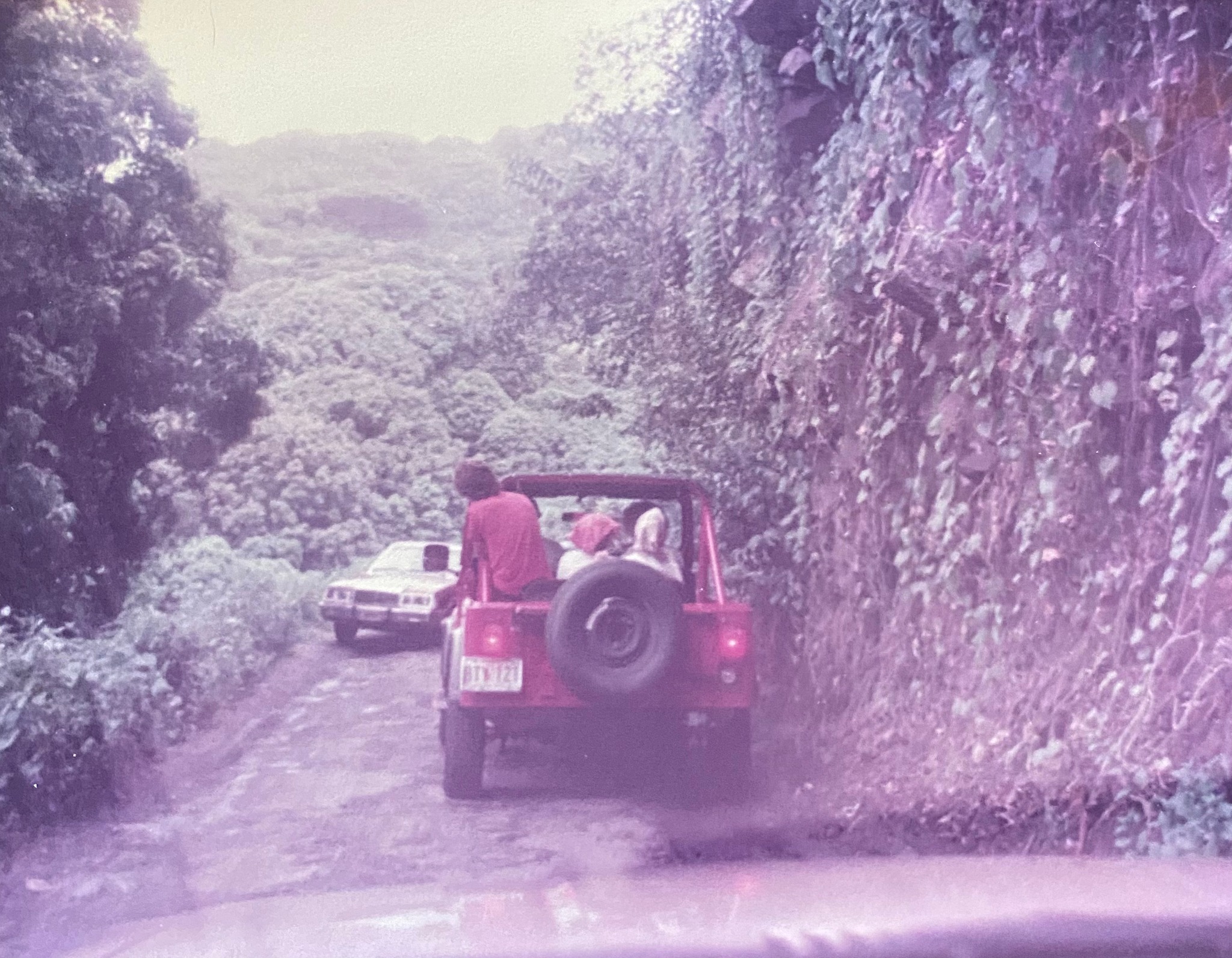 The road to Hana was a thrilling challenge