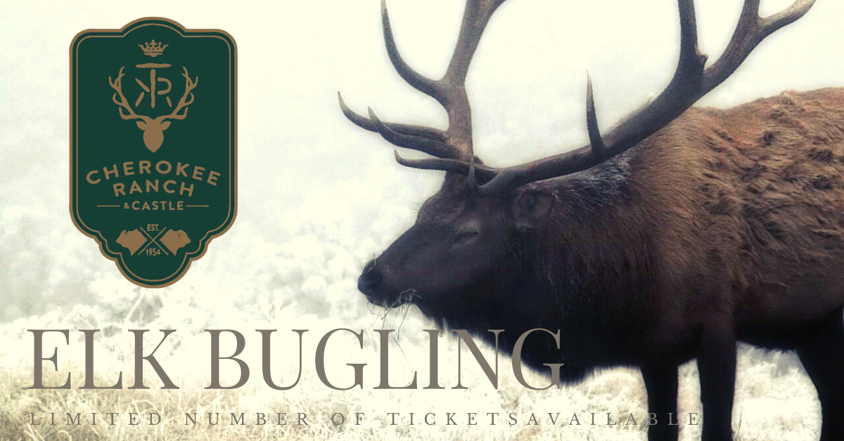 The Elk bugling is a... - Cherokee Ranch & Castle Foundation | Facebook