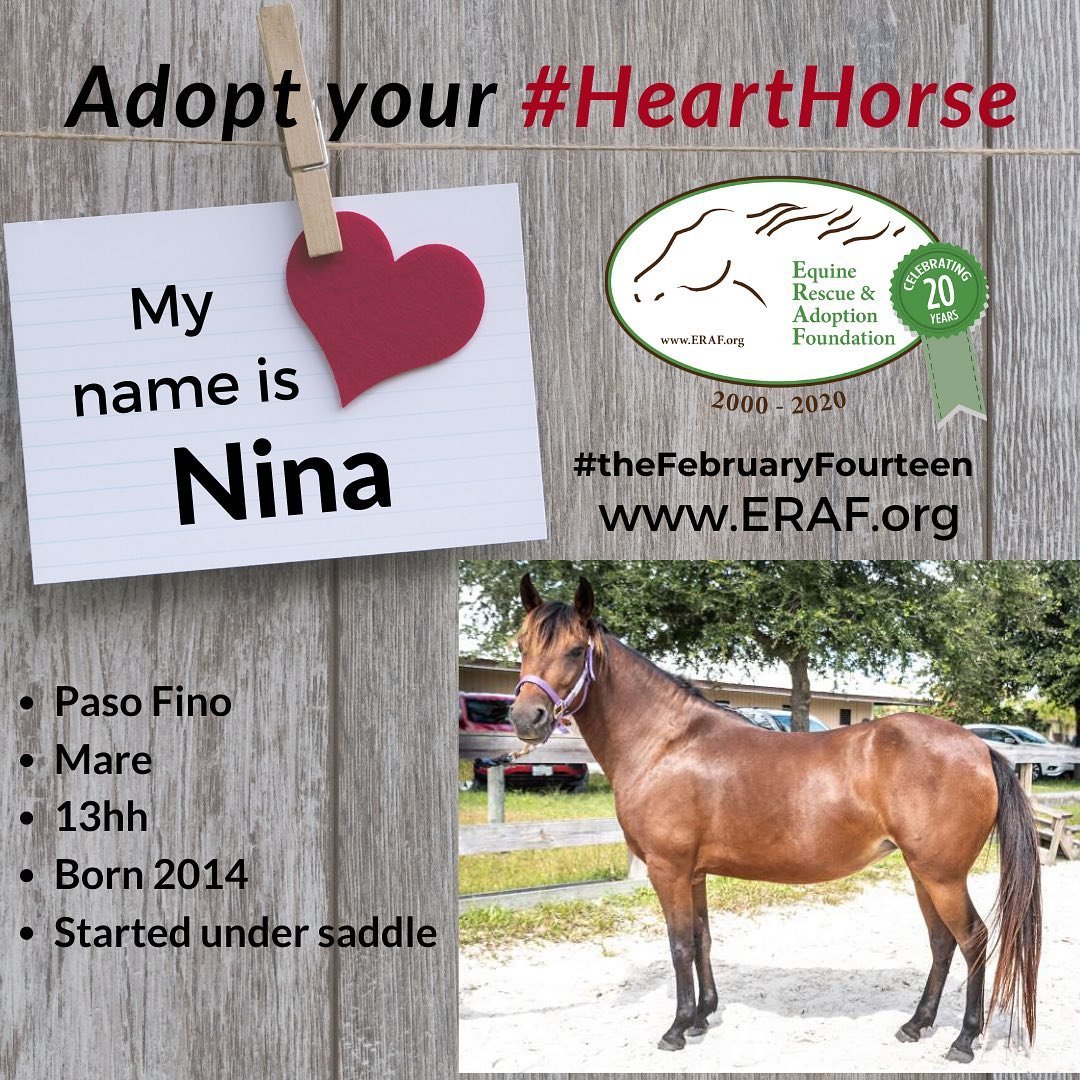 ERAF -... - ERAF - Equine Rescue and Adoption Foundation