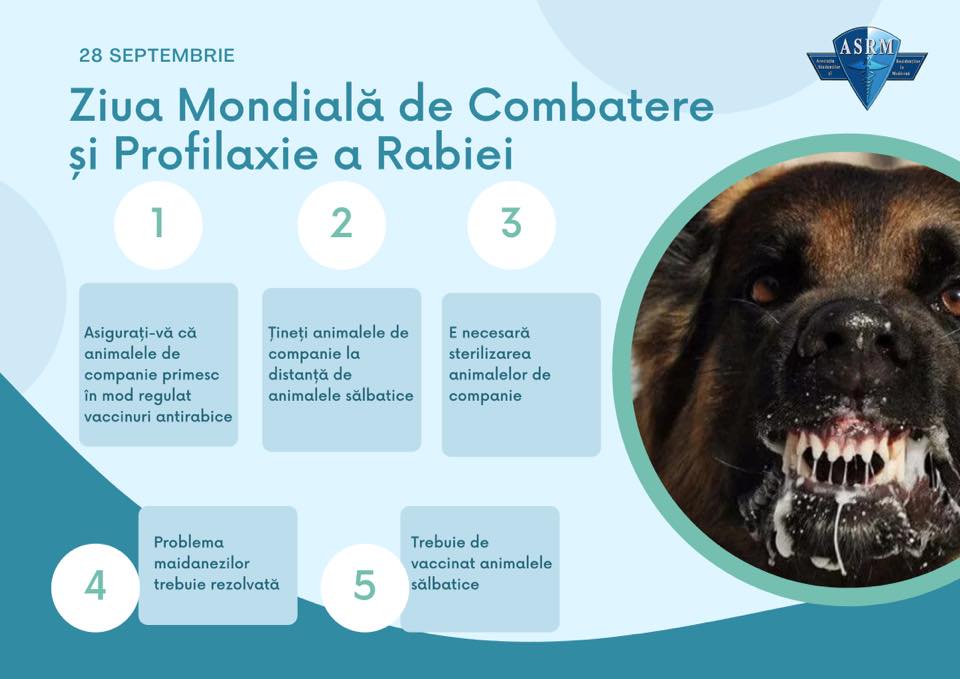 🔷RABIA (în popor: turbare)🔷 Rabia este o boală virală fatală, dar care ...