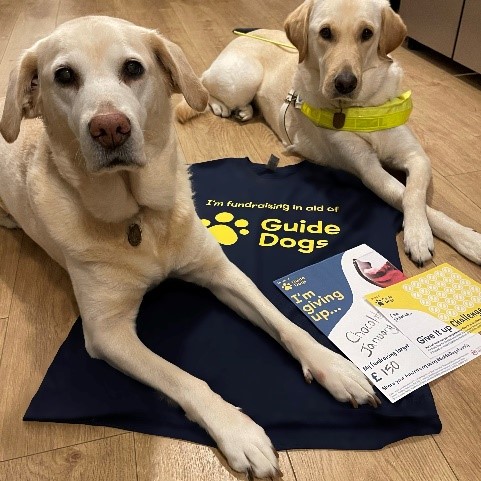 Who Started Guide Dogs