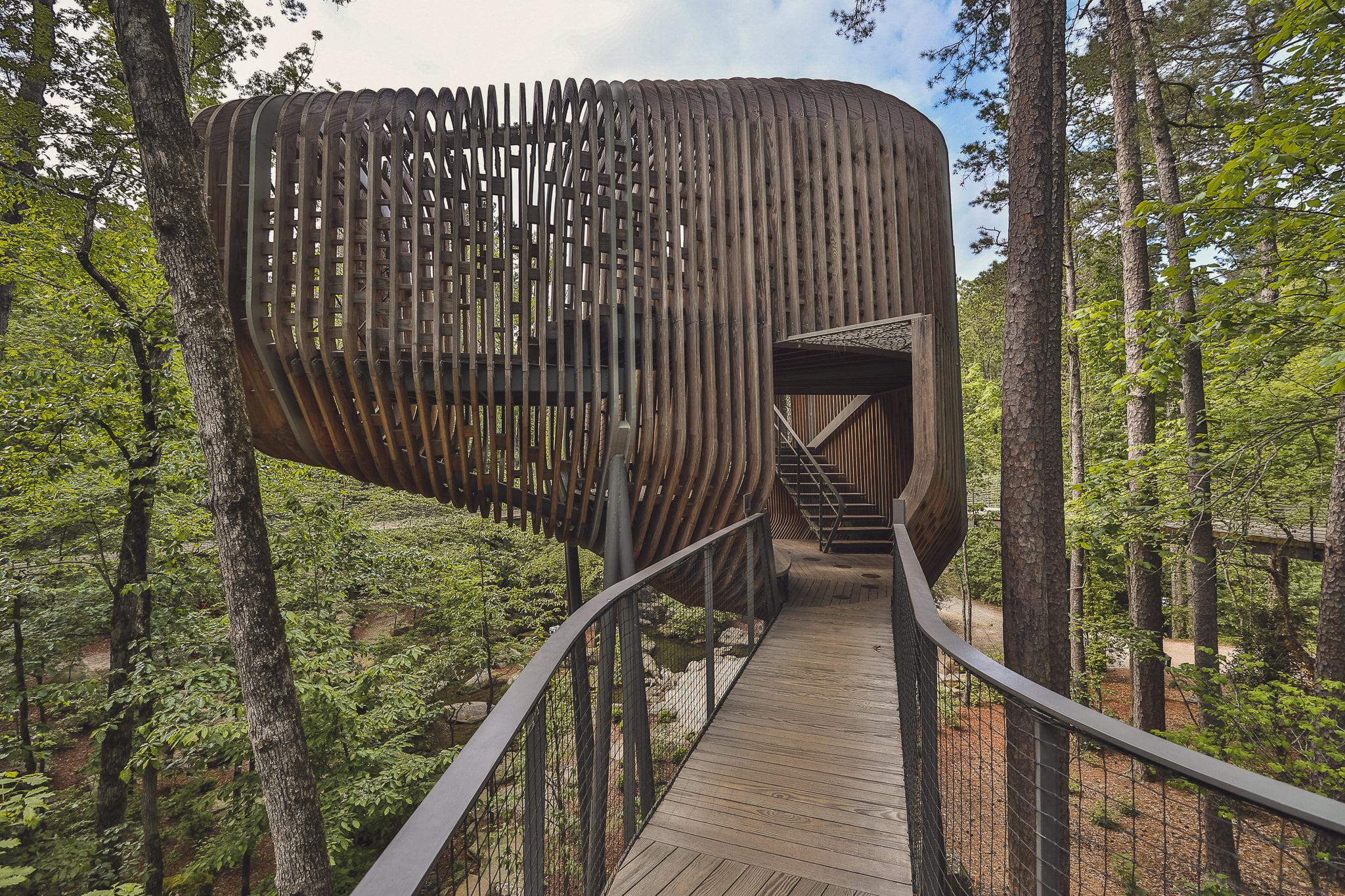 Modus Studio - The enigmatic approach to The Evans Tree...