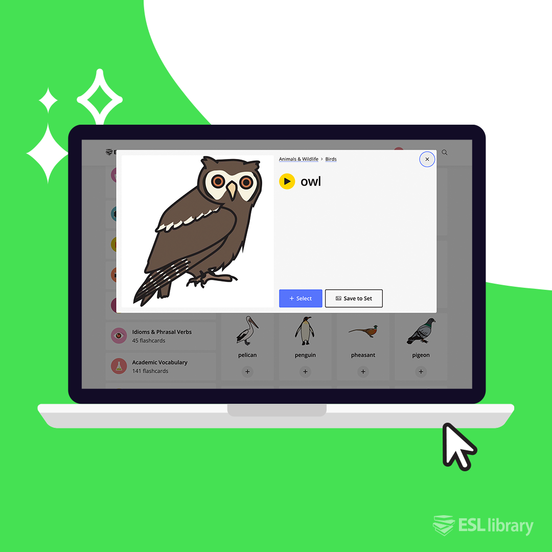 Ellii - Do you use our flashcards to teach and review...
