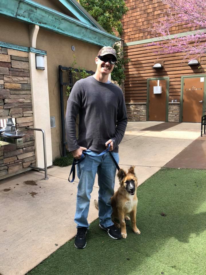 Linus, now... - Greater California German Shepherd Rescue