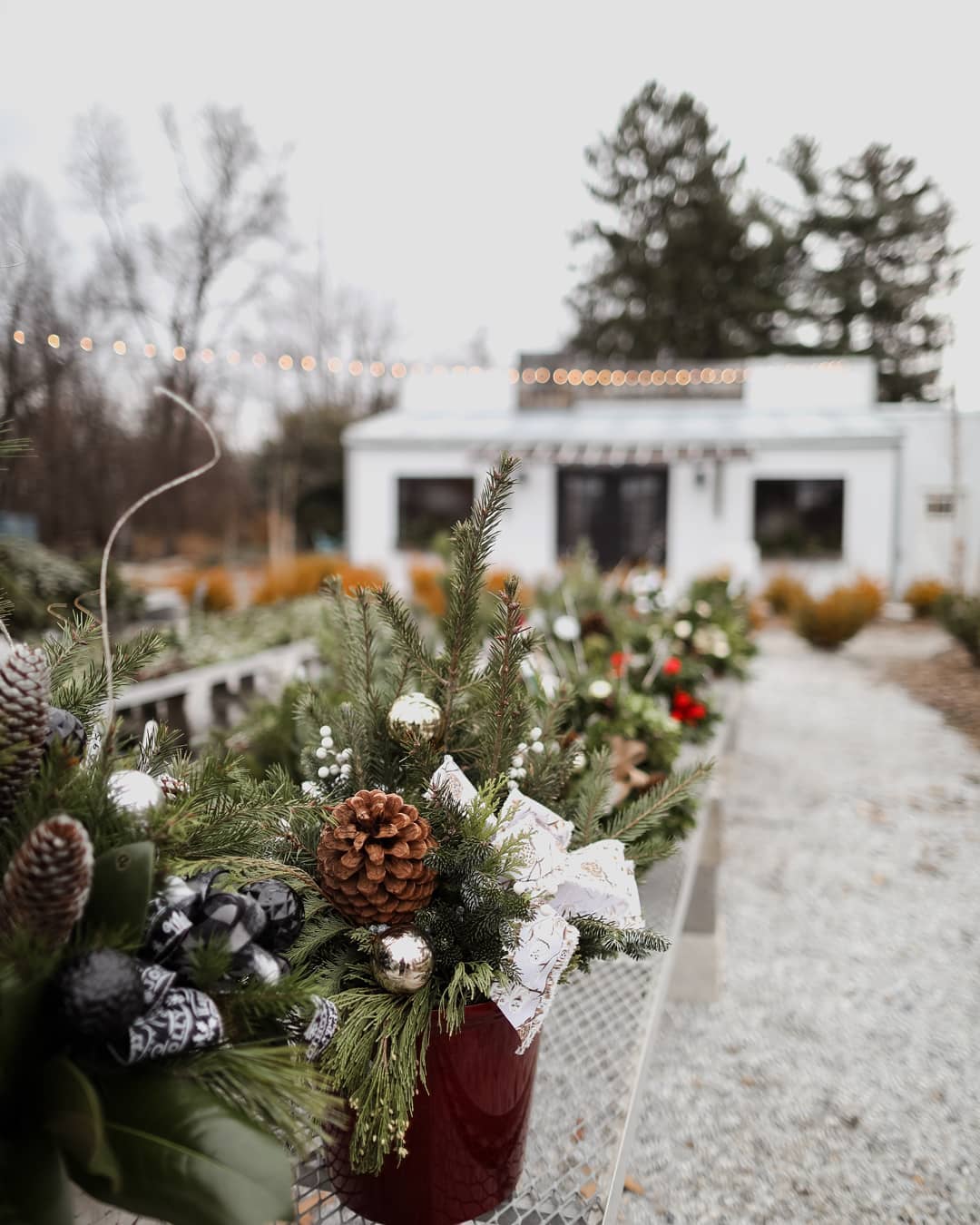 Mixed arrangements make the perfect... - Hueter's Greenhouses | Facebook