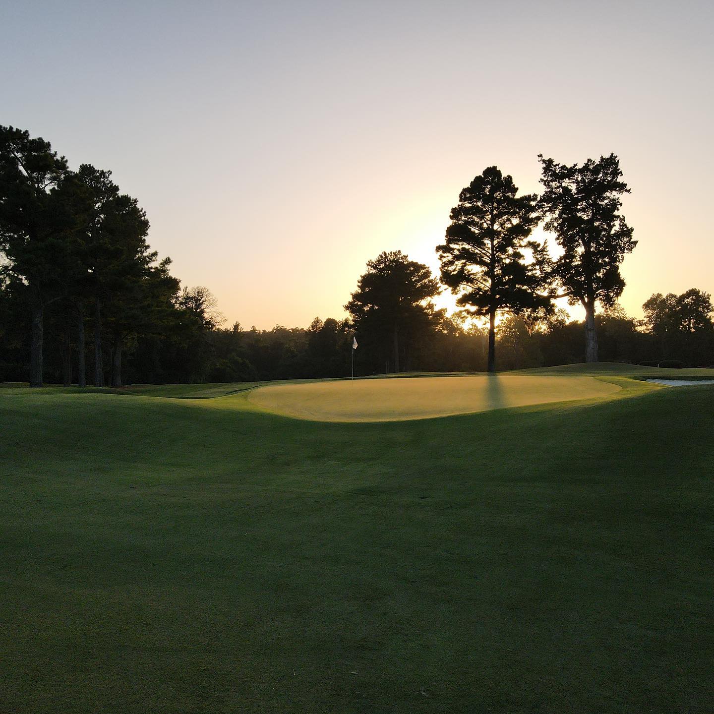 Palmetto Golf Club | Aiken SC