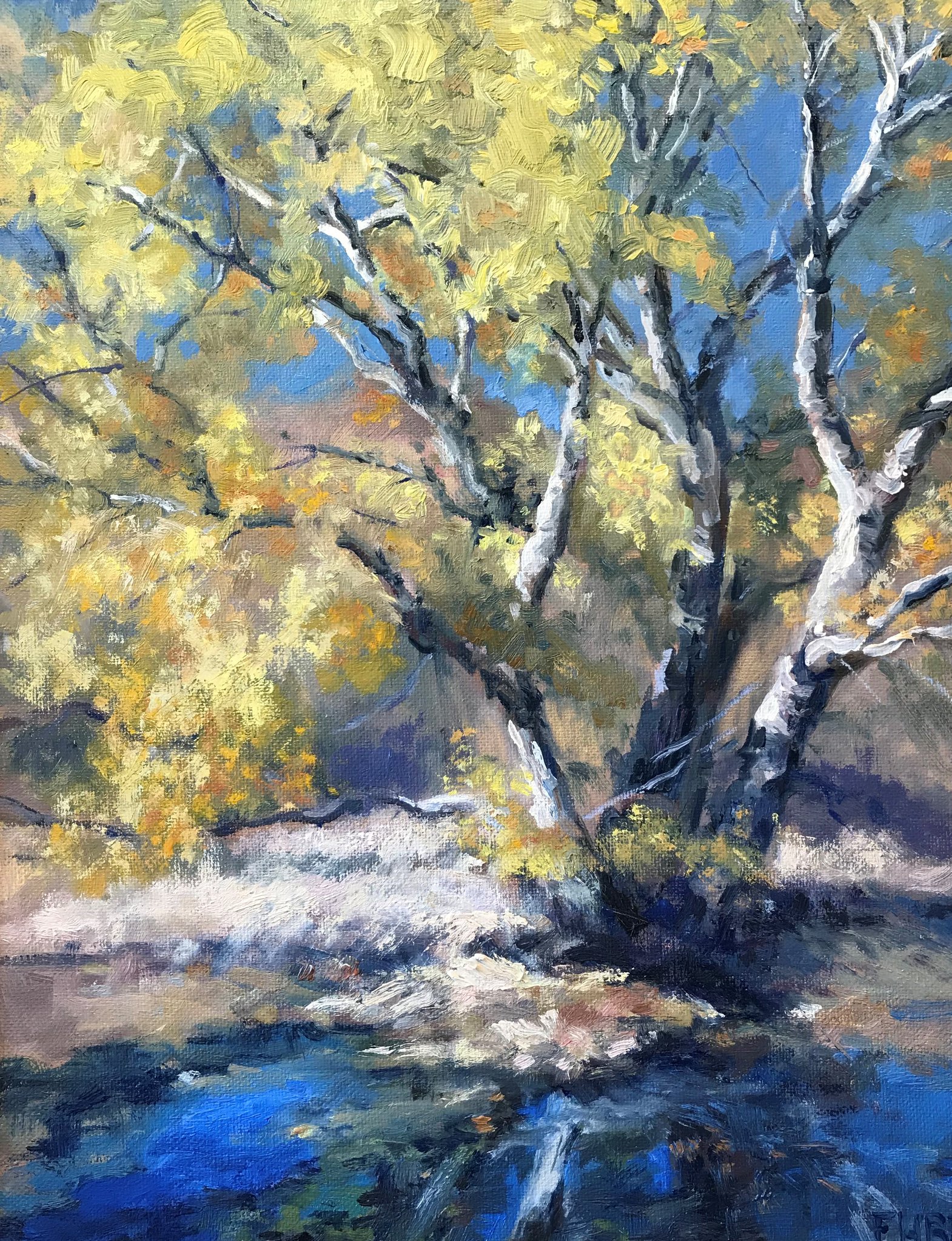 Museum of the Southwest - Midland, Texas - Autumn Cottonwoods Elizabeth ...