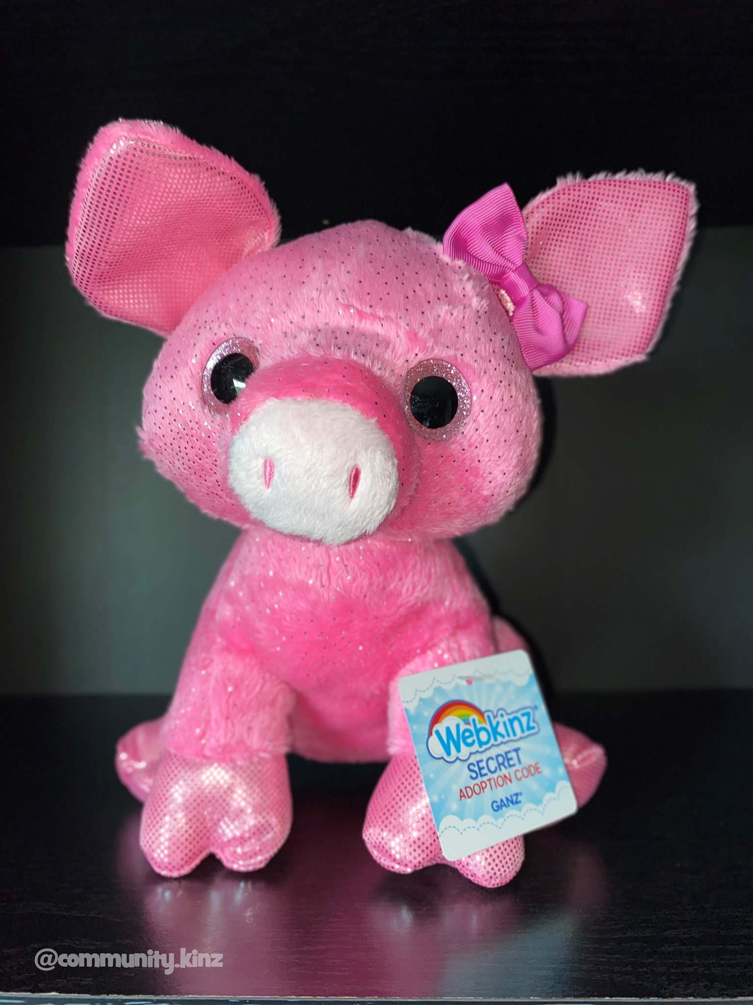 Meet Olivia 🐽💖 @community.kinz newest addition to her Webkinz