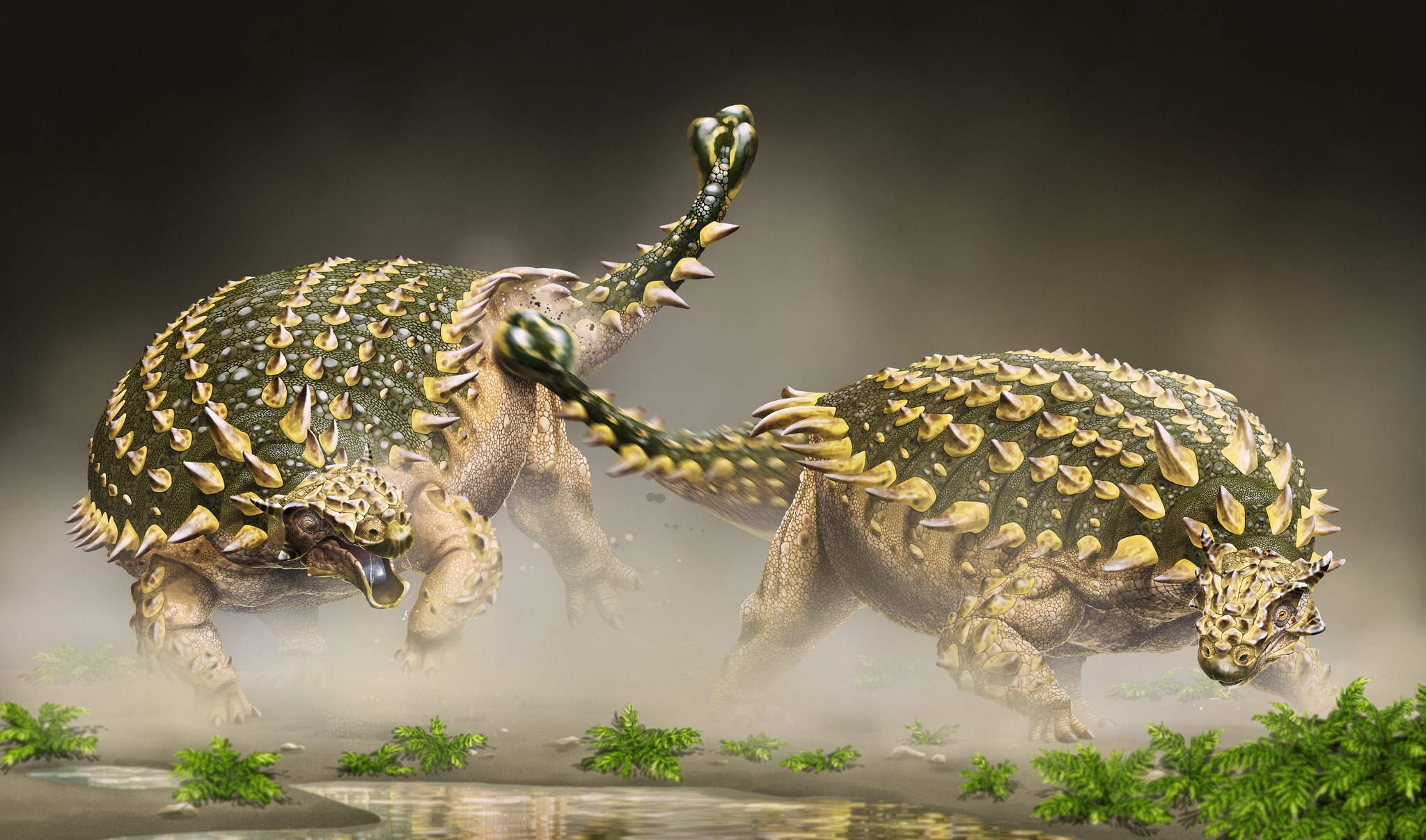 A newly discovered dinosaur was found in the Gobi Desert with rare