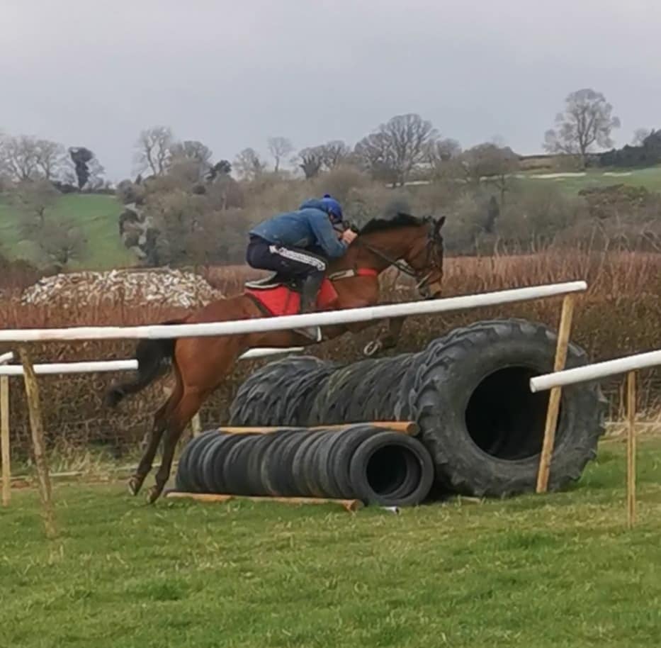 Richard Price Horseracing | Hereford