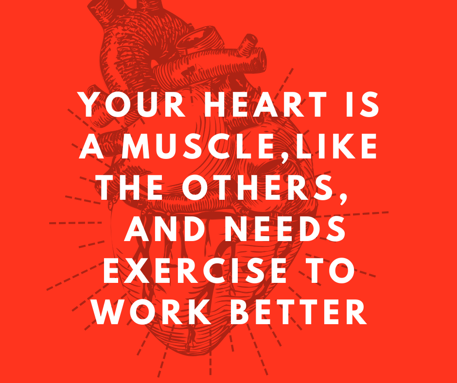 Red-X-Fitness 24/7 | Decatur AL