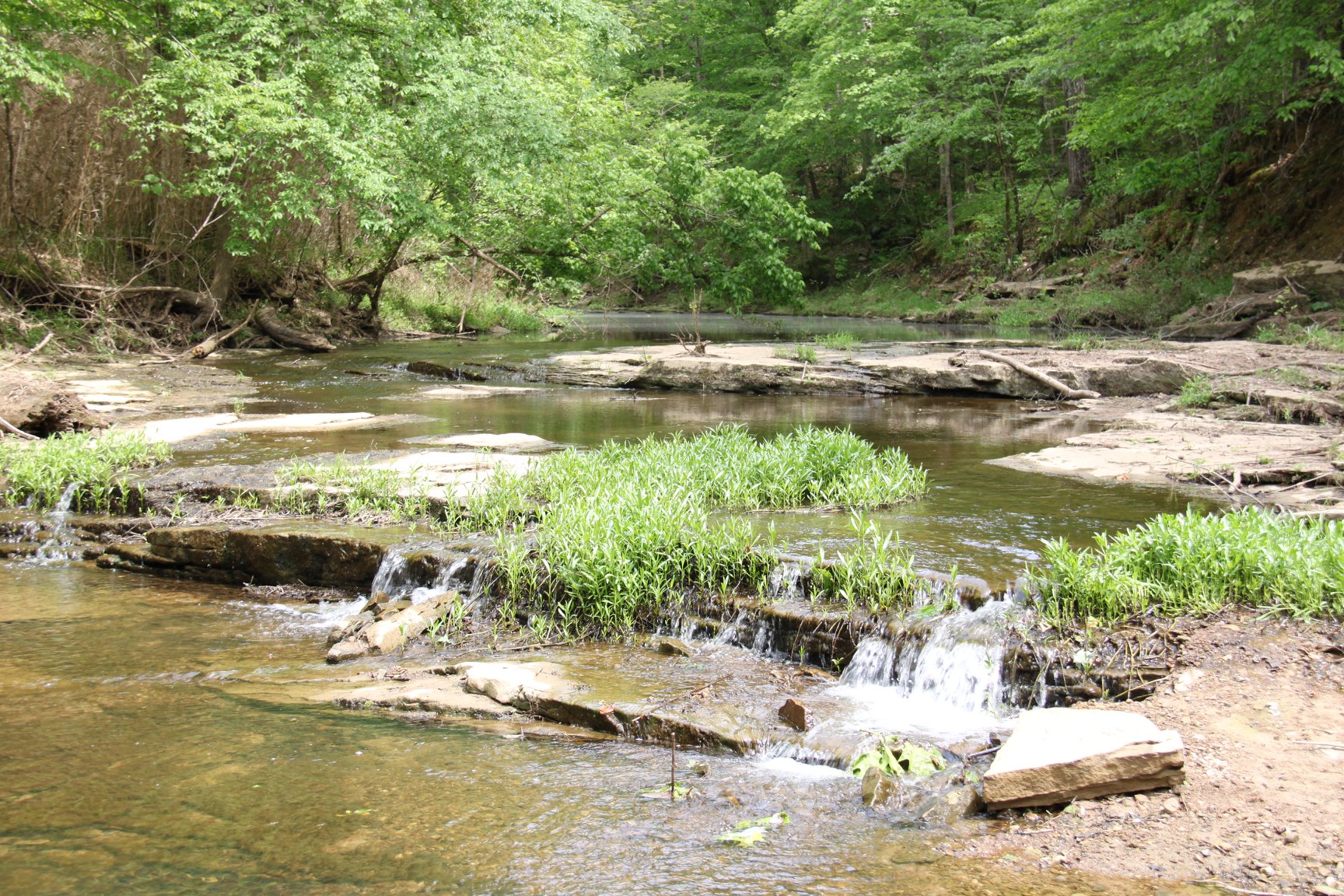 Rough River Lake - Lake and River level update for April 16th at 6:30 ...