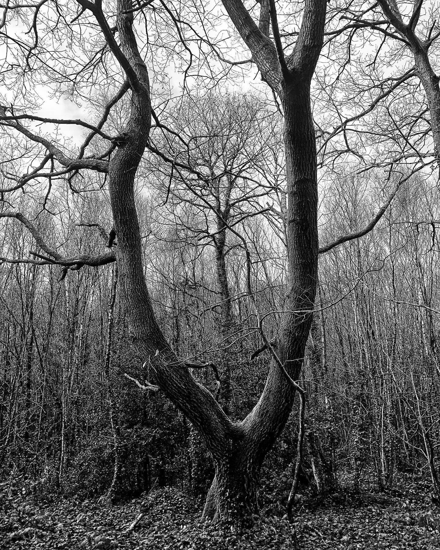 Stuart Absolon Photography