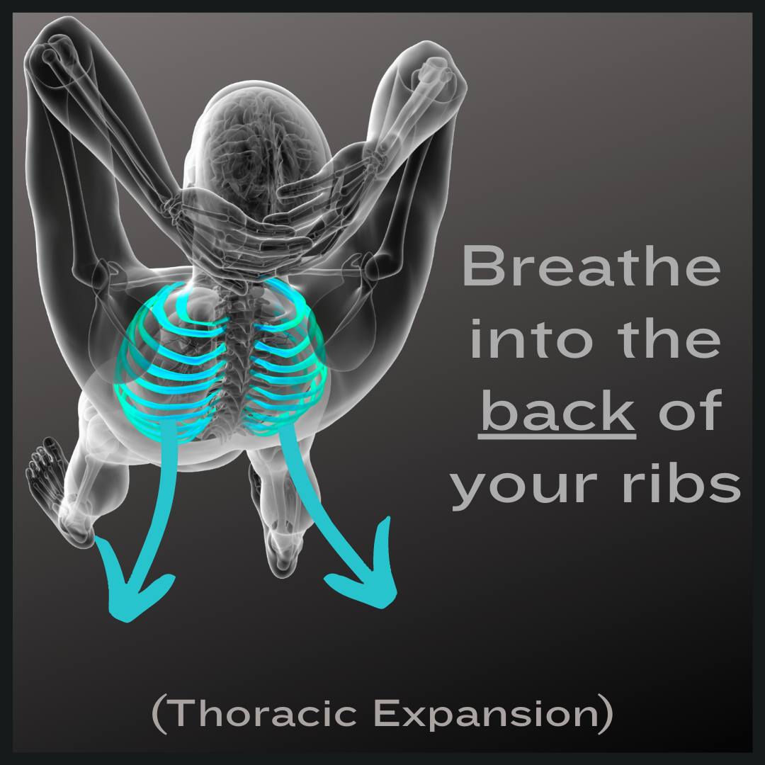 Foundation Training - Breathe into the BACK of your ribs. Yes, the BACK ...