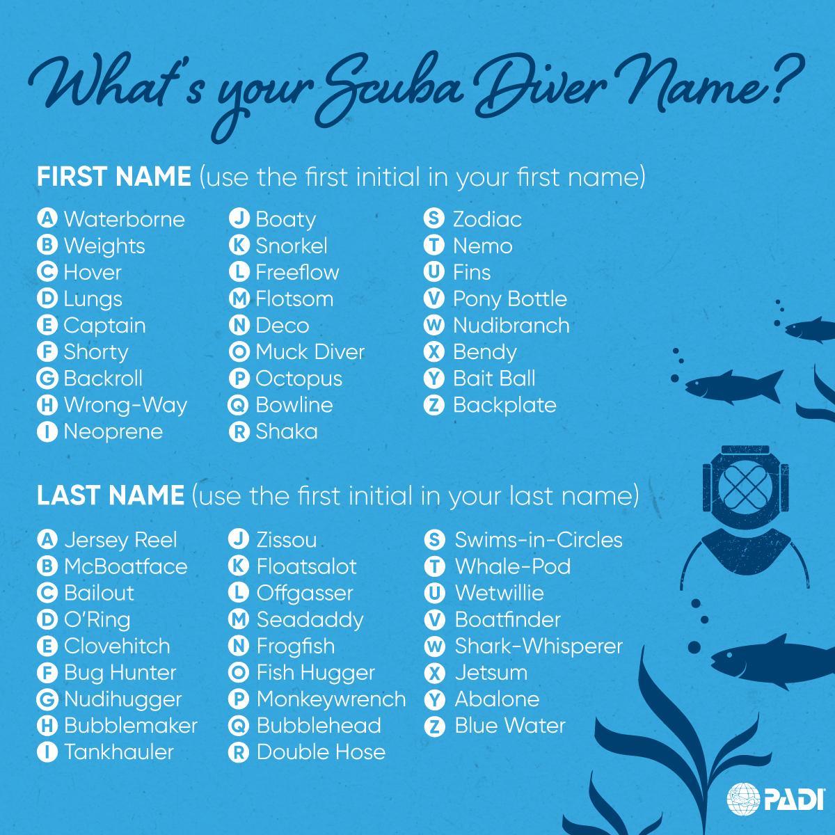 Mermaids Dive Center 5 Star PADI CDC