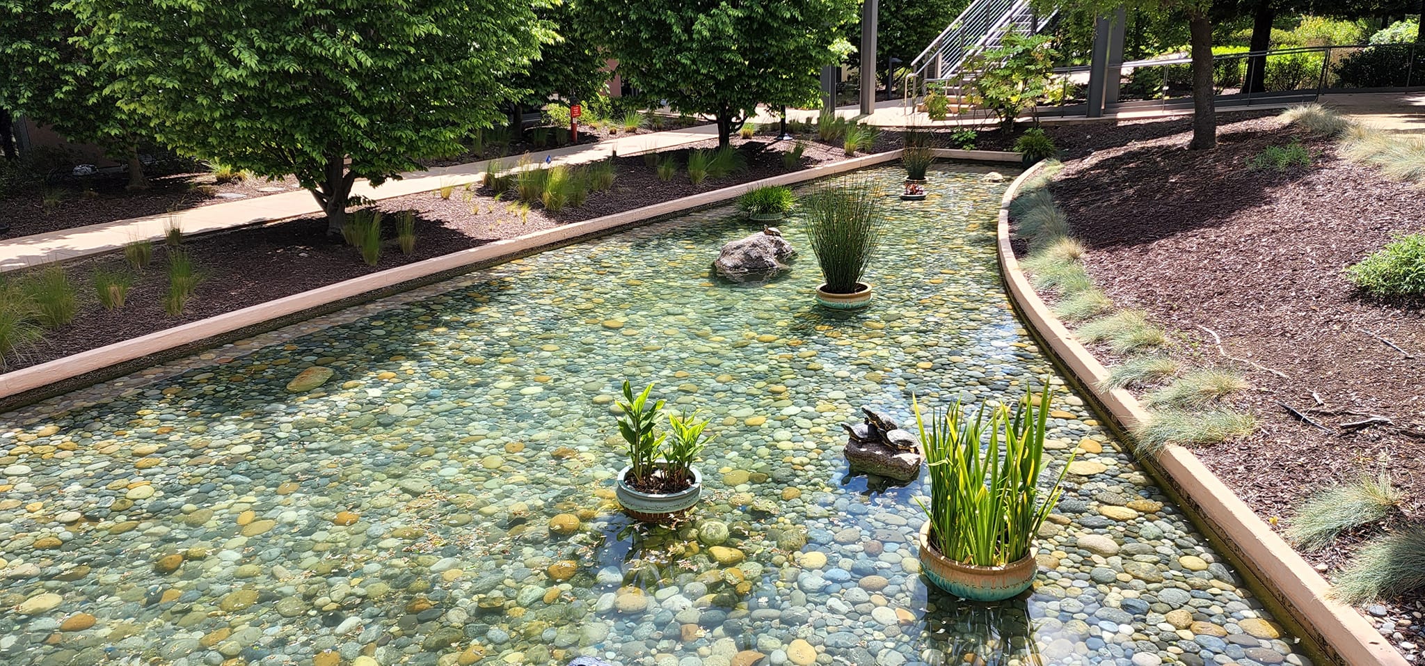The VMware Turtles