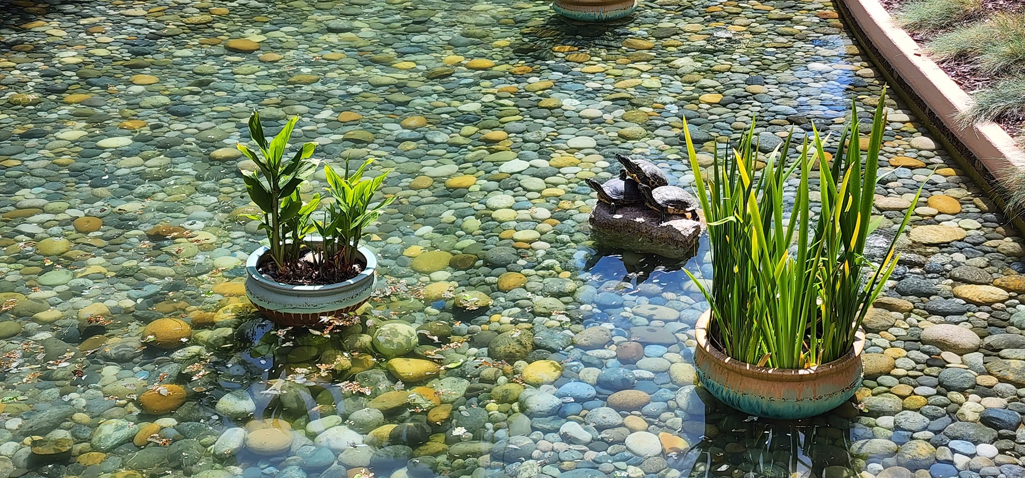 The VMware Turtles