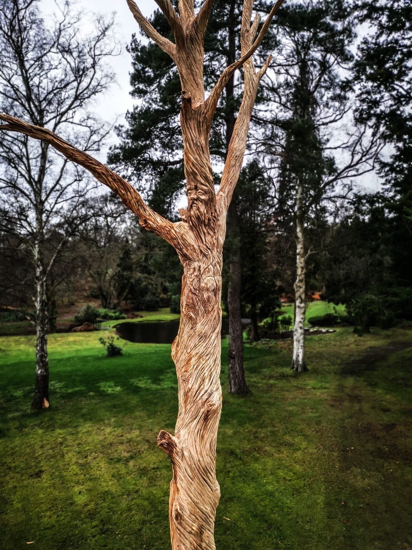 The Oak Father... The... - Simon O'Rourke - Tree Carving | Facebook