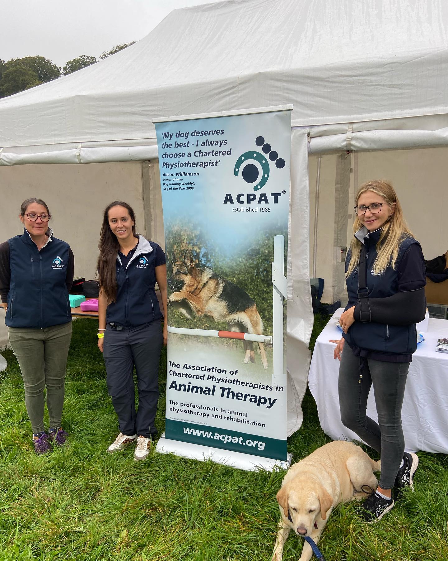 Zellah Theobald- Chartered Physiotherapist and Veterinary Physiotherapist