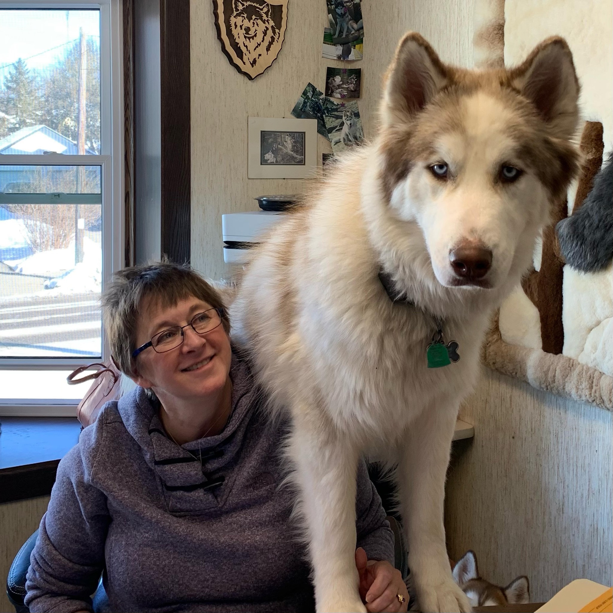 Grey Wolf Accounting & Tax Service, Inc. | Stoughton WI