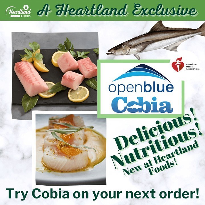 Open Blue Cobia - NEW Product Alert 🚨 @heartlandfoods is...