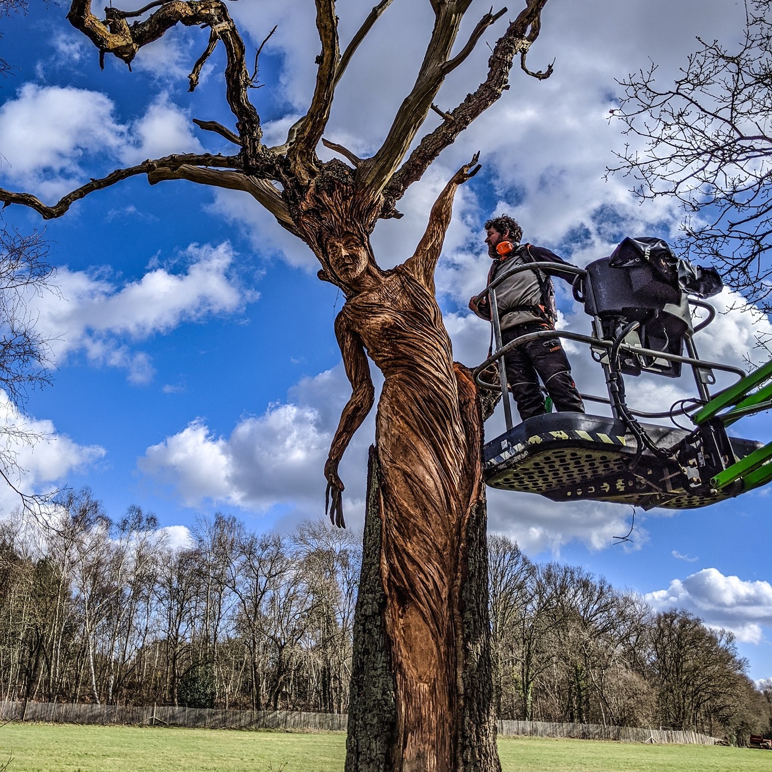 The 12 days of... - Simon O'Rourke - Tree Carving | Facebook