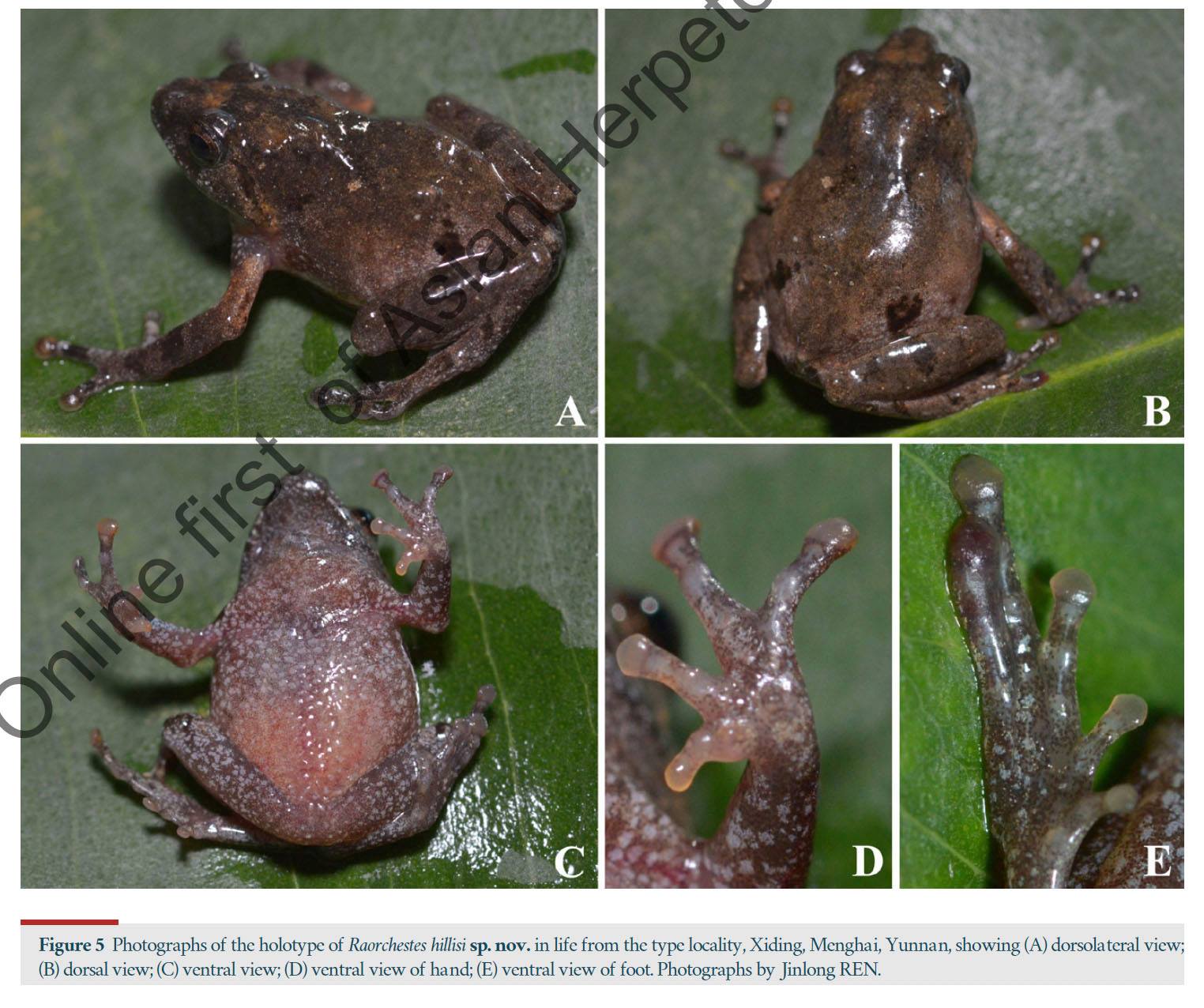 ニコUNICITY 【バイオスライフマノス.アロエベラ】 They named a New Species after me . that's a very Special
