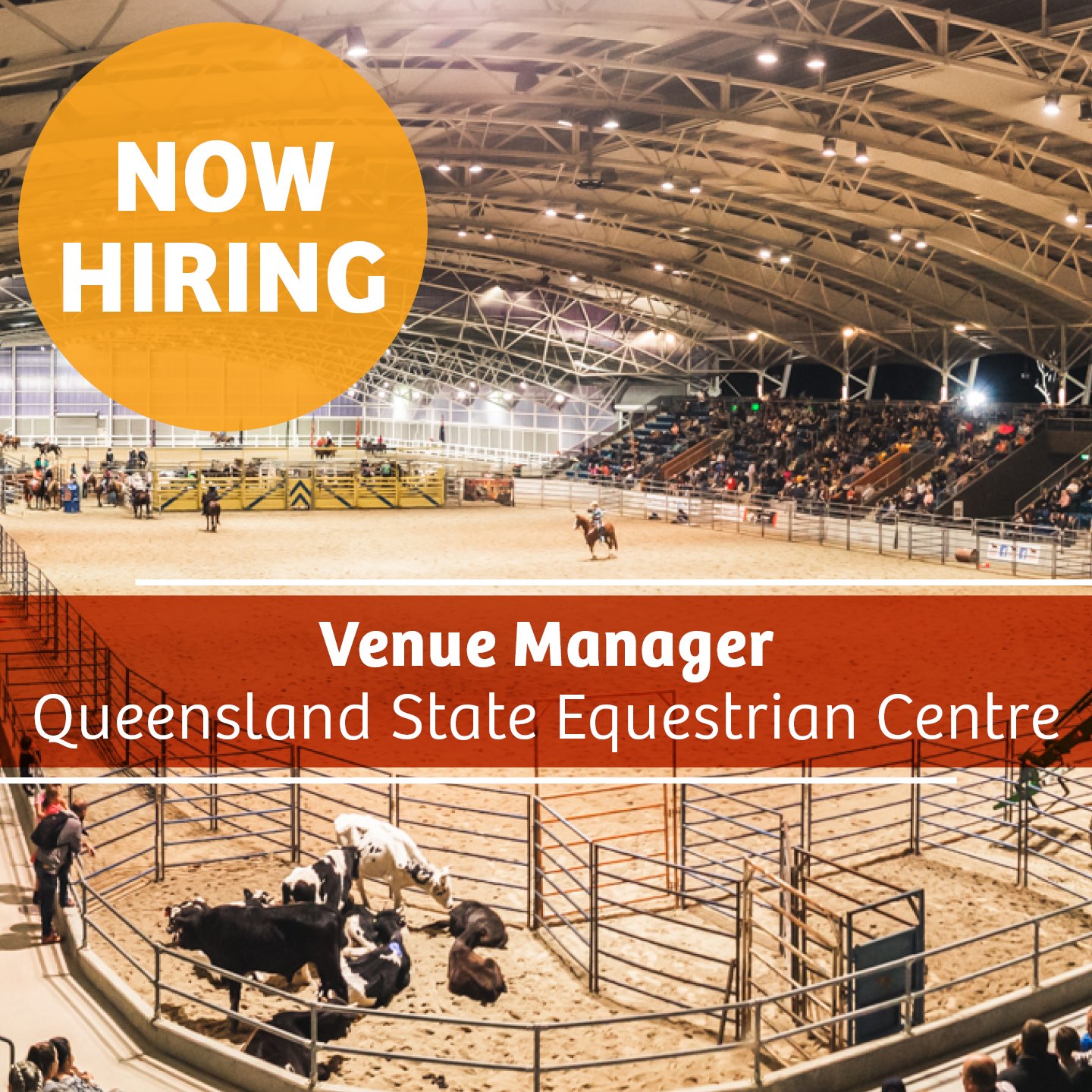 Here is your... - QSEC (Queensland State Equestrian Centre) | Facebook